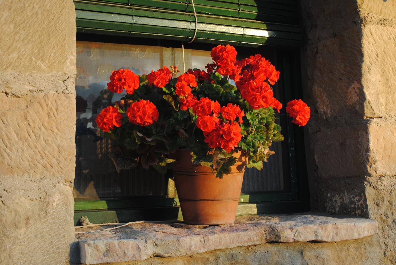 Guara Rural Guest House Panzano Exterior photo